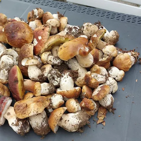 Casa Tipica Montanara