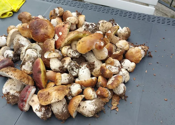 Casa Tipica Montanara